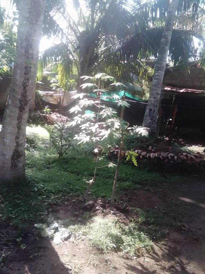 Thomasz House Ahangama Exterior foto